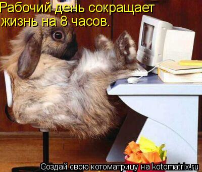 Рабочий день сокращает жизнь на 8 часов.... Котоматрица: Рабочий день сокращает жизнь на 8 часов.