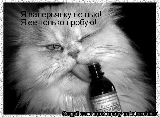 Я валерьянку не пью! Я её только пробую!... Котоматрица: Я валерьянку не пью! Я её только пробую!