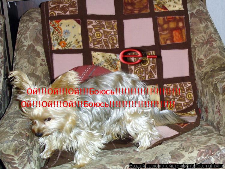 Ой!!!Ой!!!Ой!!!Боюсь!!!!!!!!!!!!!!!!!!!!! Ой!!!Ой!!!Ой!!!Боюсь!!!!!!!!!!!!!!!!!!!!!... Котоматрица: Ой!!!Ой!!!Ой!!!Боюсь!!!!!!!!!!!!!!!!!!!!! Ой!!!Ой!!!Ой!!!Боюсь!!!!!!!!!!!!!!!!!!!!!
