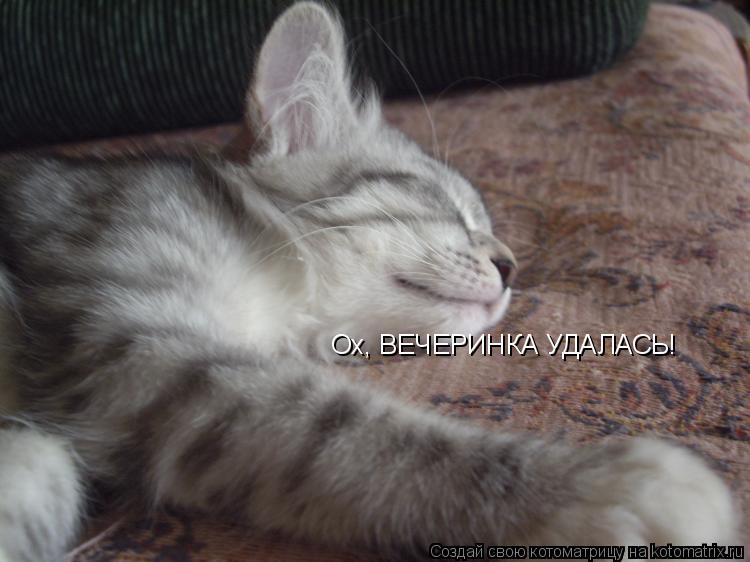 Ох, ВЕЧЕРИНКА УДАЛАСЬ!... Котоматрица: Ох, ВЕЧЕРИНКА УДАЛАСЬ!