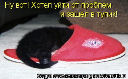 Ну вот! Хотел уйти от проблем и зашёл в тупик!... Котоматрица: Ну вот! Хотел уйти от проблем и зашёл в тупик!