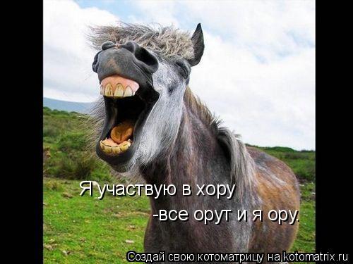 Я участвую в хору -все орут и я ору.... Котоматрица: Я участвую в хору -все орут и я ору.