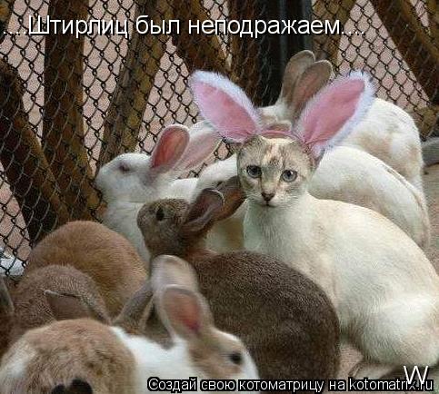....Штирлиц был неподражаем.... W... Котоматрица: ....Штирлиц был неподражаем.... W