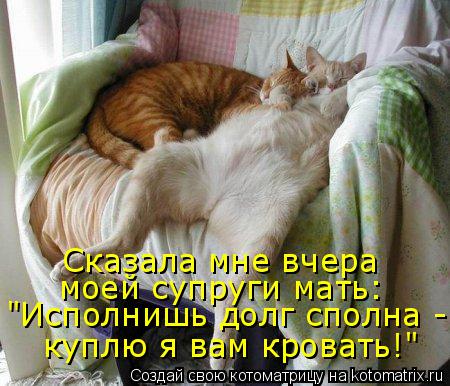 Сказала мне вчера моей супруги мать: "Исполнишь долг сполна - куплю я вам кровать!"... Котоматрица: Сказала мне вчера моей супруги мать: "Исполнишь долг сполна - куплю я вам кровать!"
