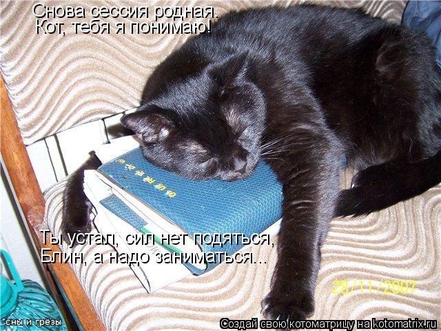 Снова сессия родная. Кот, тебя я понимаю! Ты устал, сил нет подяться, Блин, а надо заниматься...... Котоматрица: Снова сессия родная. Кот, тебя я понимаю! Ты устал, сил нет подяться, Блин, а надо заниматься...