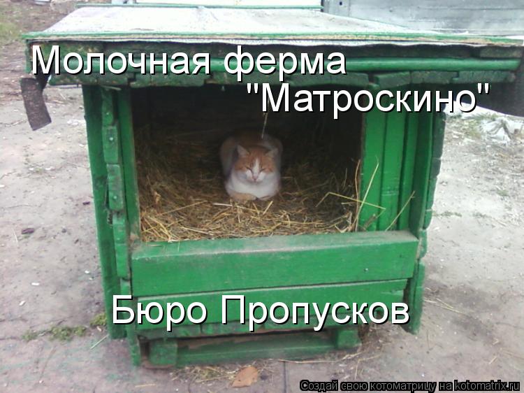 Молочная ферма "Матроскино" Бюро Пропусков... Котоматрица: Молочная ферма "Матроскино" Бюро Пропусков
