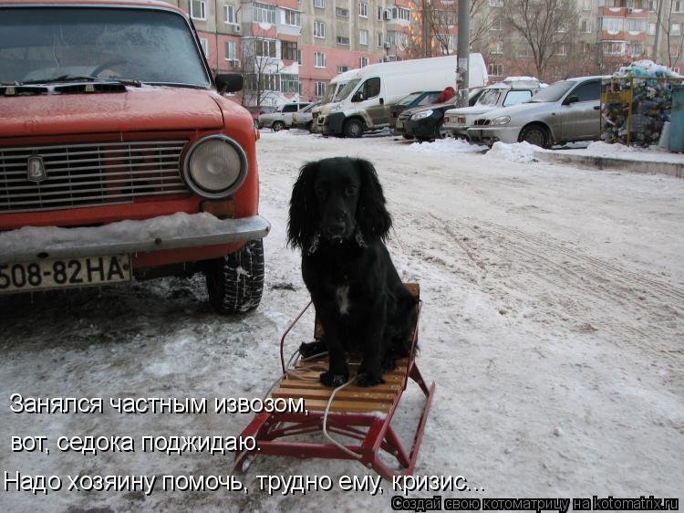 Занялся частным извозом, вот, седока поджидаю. Надо хозяину помочь, трудно ему, кризис...... Котоматрица: Занялся частным извозом, вот, седока поджидаю. Надо хозяину помочь, трудно ему, кризис...