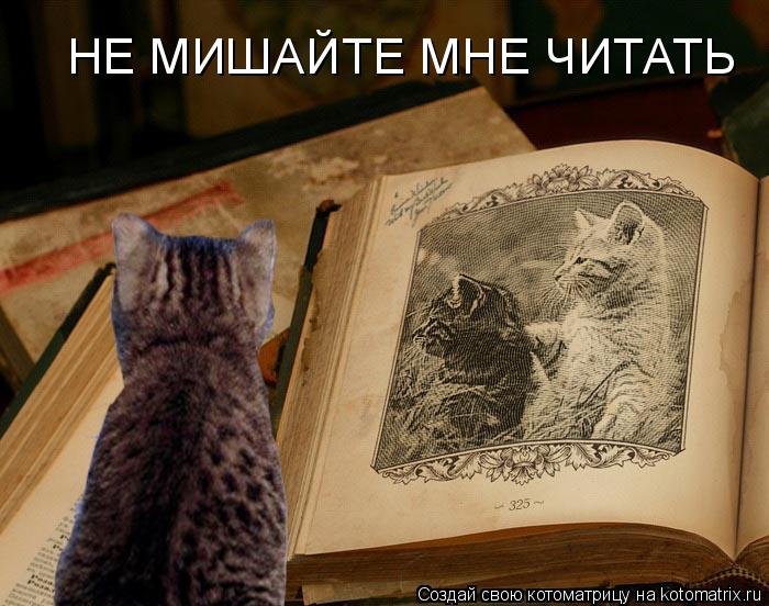 НЕ МИШАЙТЕ МНЕ ЧИТАТЬ... Котоматрица: НЕ МИШАЙТЕ МНЕ ЧИТАТЬ