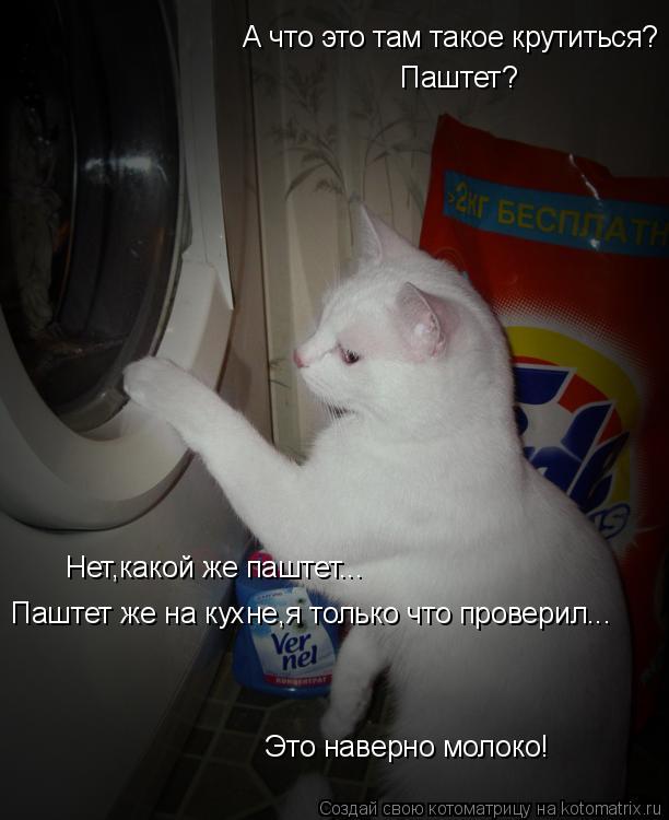 А что это там такое крутиться? Паштет? Нет,какой же паштет... Паштет же на кухне,я только что провери... Котоматрица: А что это там такое крутиться? Паштет? Нет,какой же паштет... Паштет же на кухне,я только что проверил... Это наверно молоко!