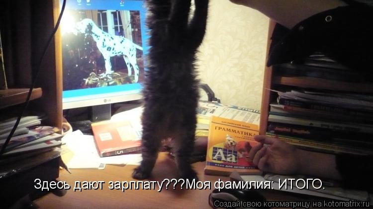 Здесь дают зарплату???Моя фамилия: ИТОГО.... Котоматрица: Здесь дают зарплату???Моя фамилия: ИТОГО.