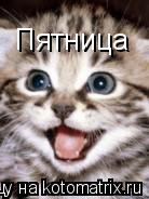 Пятница... Котоматрица: Пятница