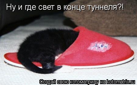 Котоматрица: Ну и где свет в конце туннеля?!