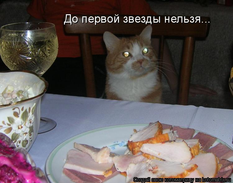 До первой звезды нельзя...... Котоматрица: До первой звезды нельзя...