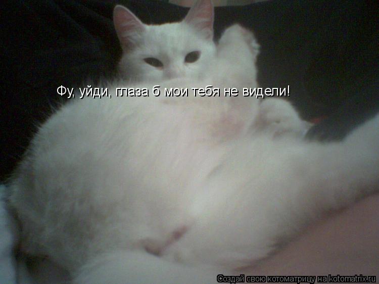 Котоматрица: Фу, уйди, глаза б мои тебя не видели!