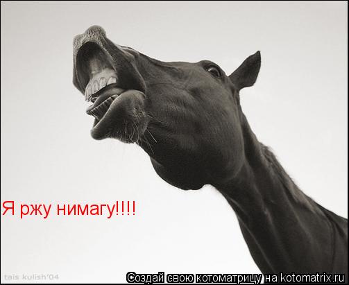 Я ржу нимагу!!!!... Котоматрица: Я ржу нимагу!!!!
