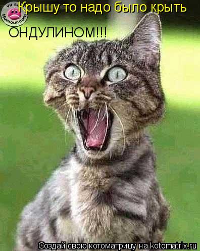 Крышу то надо было крыть ОНДУЛИНОМ!!!... Котоматрица: Крышу то надо было крыть ОНДУЛИНОМ!!!