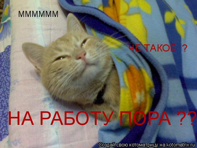 ММММММ ЧЕ ТАКОЕ ? НА РАБОТУ ПОРА ??... Котоматрица: ММММММ ЧЕ ТАКОЕ ? НА РАБОТУ ПОРА ??
