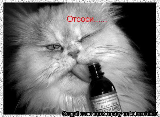 Отсоси......... Котоматрица: Отсоси......