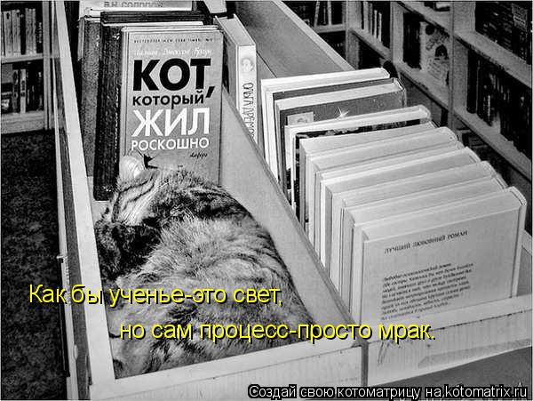 Как бы ученье-это свет, но сам процесс-просто мрак.... Котоматрица: Как бы ученье-это свет, но сам процесс-просто мрак.