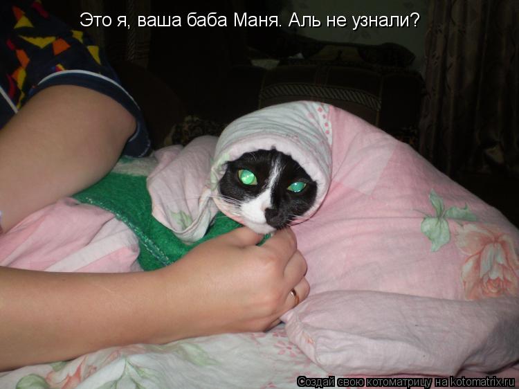 Котоматрица: Это я, ваша баба Маня. Аль не узнали?