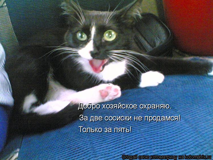 Котоматрица: Добро хозяйское охраняю.  За две сосиски не продамся! Только за пять!