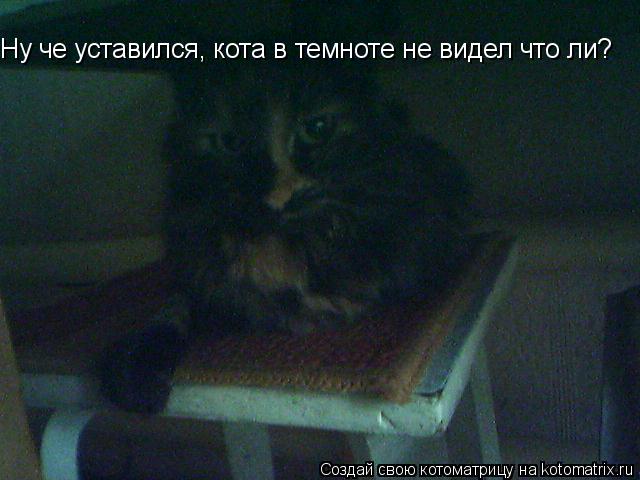 Ну че уставился, кота в темноте не видел что ли?... Котоматрица: Ну че уставился, кота в темноте не видел что ли?