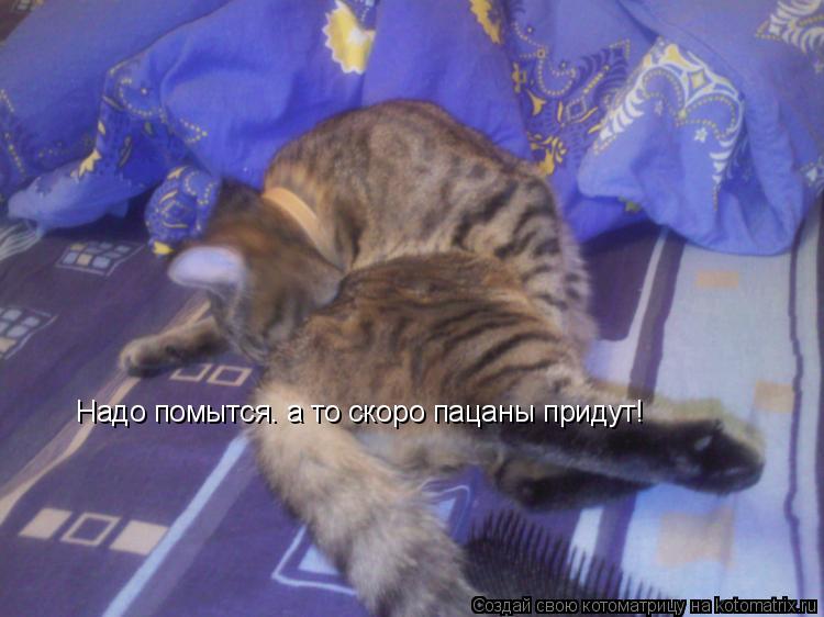 Надо помытся. а то скоро пацаны придут!... Котоматрица: Надо помытся. а то скоро пацаны придут!