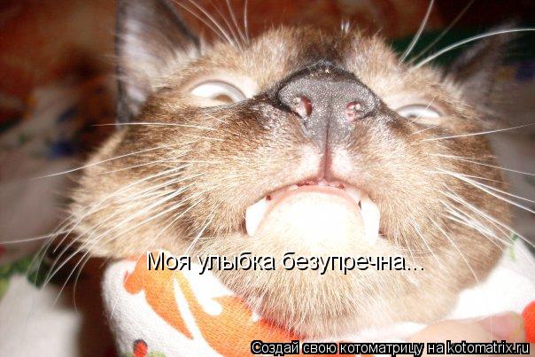 Котоматрица: Моя улыбка безупречна...