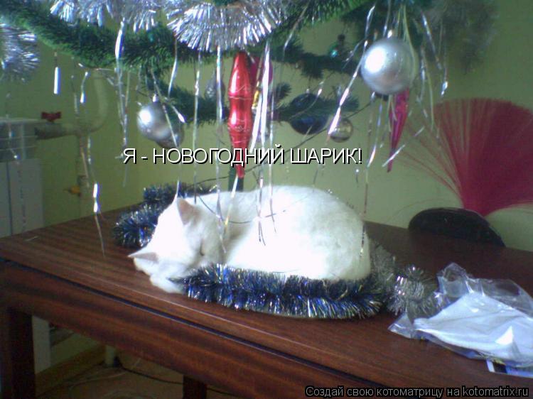 Котоматрица: Я - НОВОГОДНИЙ ШАРИК!