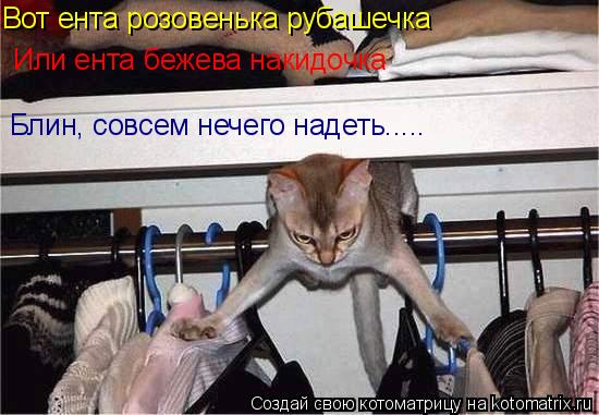 Котоматрица: Вот ента розовенька рубашечка Или ента бежева накидочка Блин, совсем нечего надеть.....