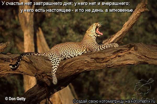 У счастья нет завтрашнего дня; у него нет и вчерашнего; у него есть настоящее - и то не день, а мг... Котоматрица: У счастья нет завтрашнего дня; у него нет и вчерашнего; у него есть настоящее - и то не день, а мгновенье.