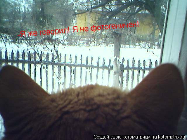 -Я же говорил! Я не фотогеничен!... Котоматрица: -Я же говорил! Я не фотогеничен!