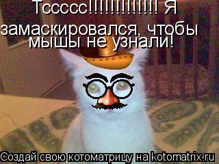 Котоматрица: Тссссс!!!!!!!!!!!!! Я замаскировался, чтобы мышы не узнали!
