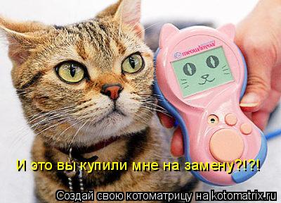 И это вы купили мне на замену?!?!... Котоматрица: И это вы купили мне на замену?!?!