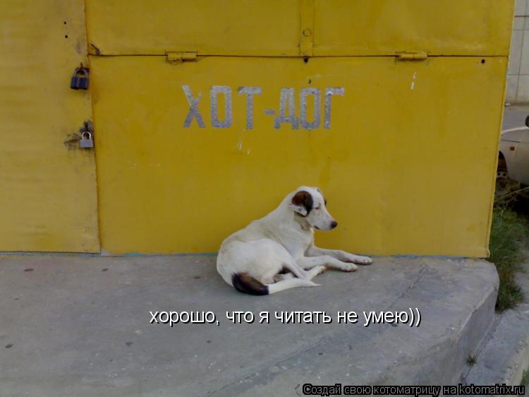 хорошо, что я читать не умею))... Котоматрица: хорошо, что я читать не умею))