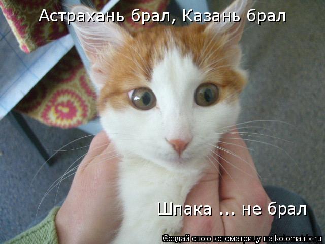 Астрахань брал, Казань брал Шпака ... не брал... Котоматрица: Астрахань брал, Казань брал Шпака ... не брал