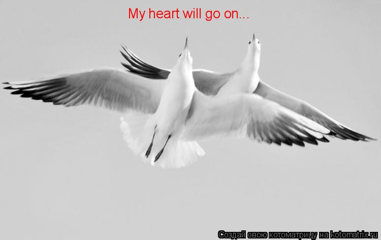 My heart will go on...... Котоматрица: My heart will go on...
