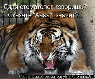 Дядя стоматолог, говоришь? Сказать "Аааа", значит?..... Котоматрица: Дядя стоматолог, говоришь? Сказать "Аааа", значит?..