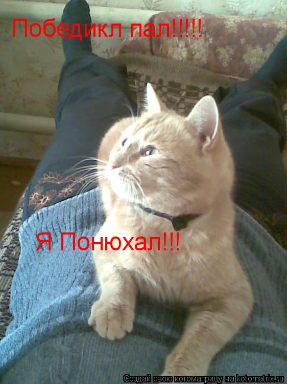 Котоматрица: Победикл пал!!!!! Я Понюхал!!!