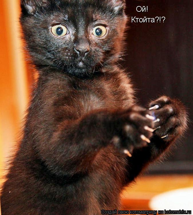 Ой! Ктойта?!?... Котоматрица: Ой! Ктойта?!?