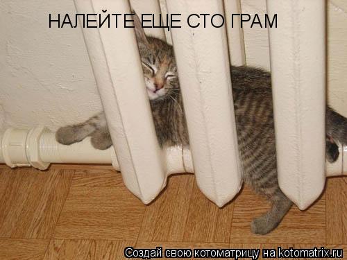 НАЛЕЙТЕ ЕЩЕ СТО ГРАМ... Котоматрица: НАЛЕЙТЕ ЕЩЕ СТО ГРАМ