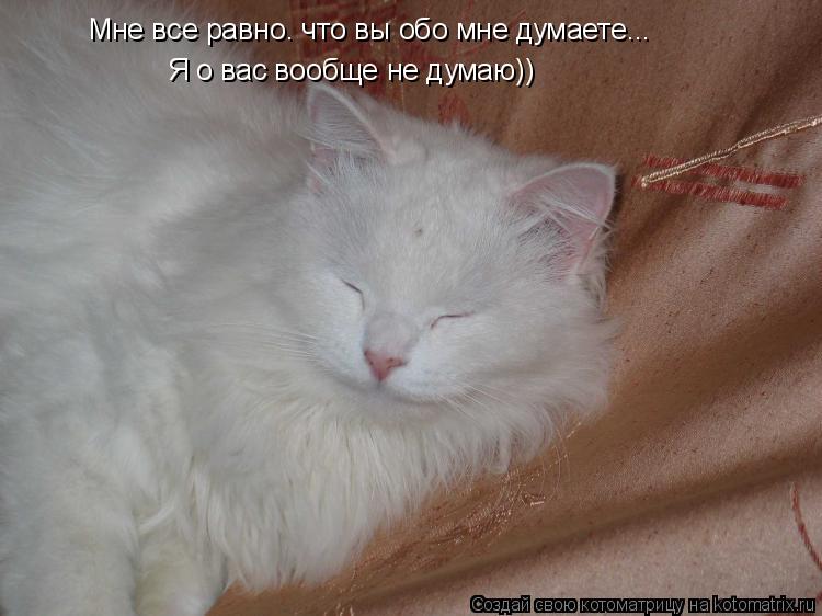 Мне все равно. что вы обо мне думаете... Я о вас вообще не думаю))... Котоматрица: Мне все равно. что вы обо мне думаете... Я о вас вообще не думаю))