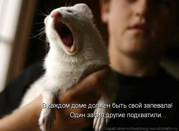 В каждом доме должен быть свой запевала! Один запил,другие подхватили...... Котоматрица: В каждом доме должен быть свой запевала! Один запил,другие подхватили...