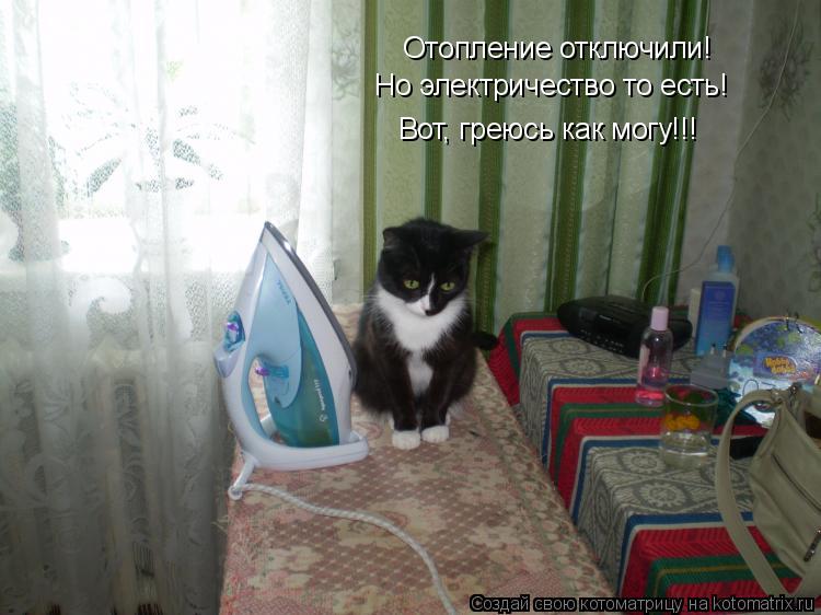 Котоматрица: Отопление отключили! Но электричество то есть! Вот, греюсь как могу!!!