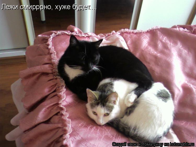 Лежи смирррно, хуже будет....... Котоматрица: Лежи смирррно, хуже будет....