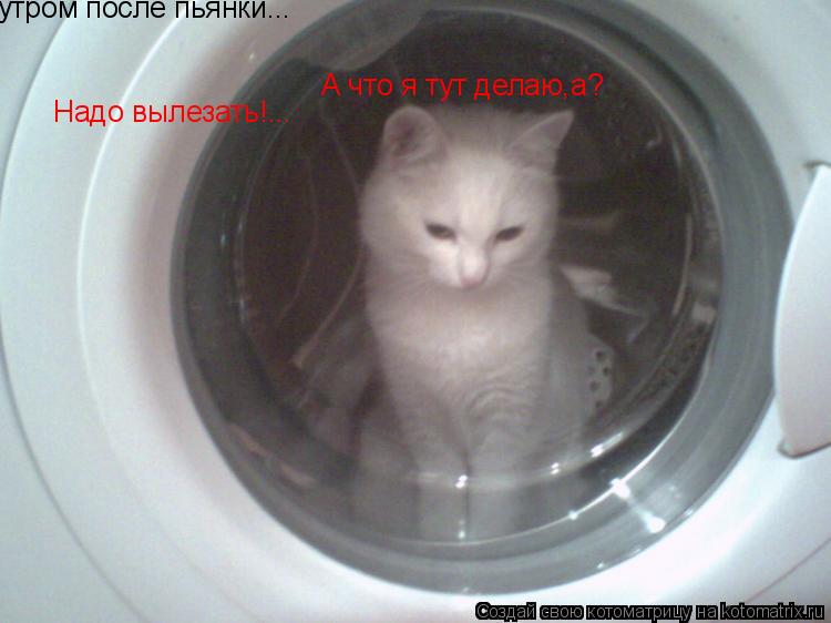 утром после пьянки... А что я тут делаю,а? Надо вылезать!...... Котоматрица: утром после пьянки... А что я тут делаю,а? Надо вылезать!...