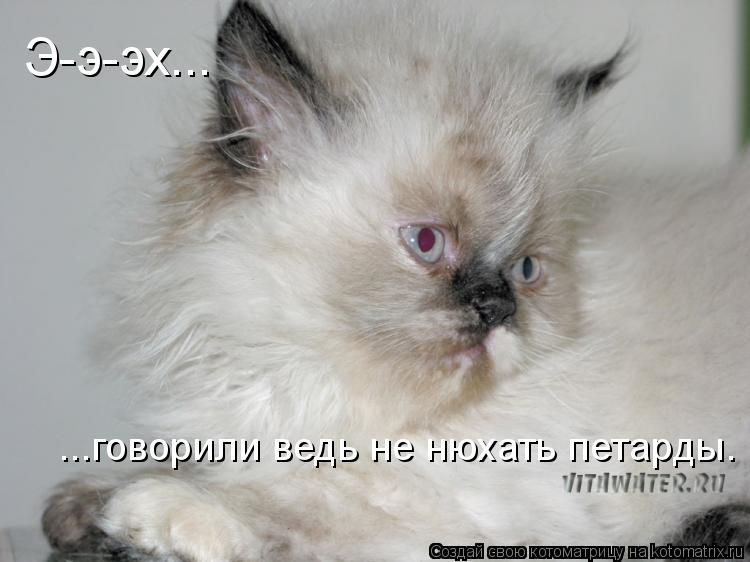 Котоматрица: Э-э-эх... ...говорили ведь не нюхать петарды.