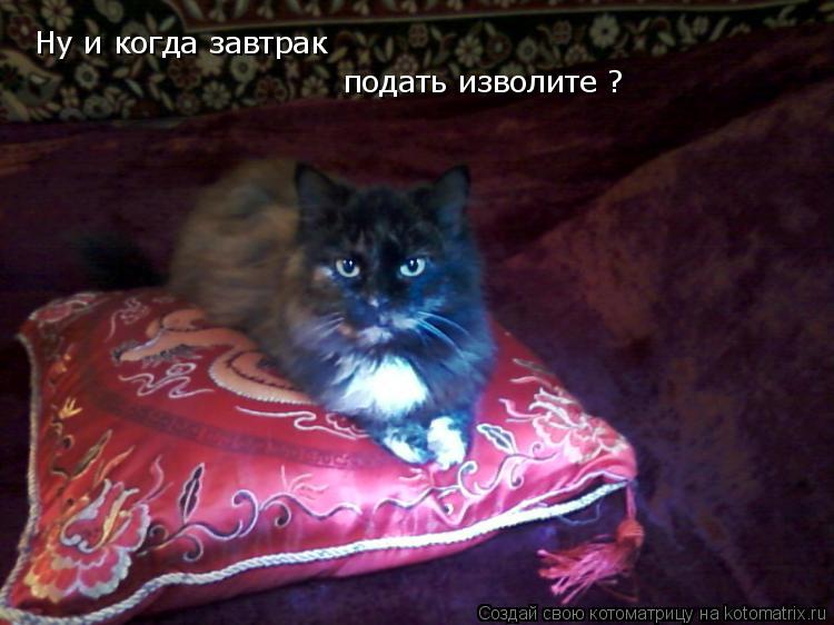 Котоматрица: Ну и когда завтрак подать изволите ?