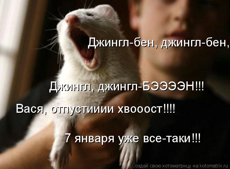 Джингл-бен, джингл-бен, Джингл, джингл-БЭЭЭЭН!!! Вася, отпустииии хвооост!!!! 7 января уже все-таки... Котоматрица: Джингл-бен, джингл-бен, Джингл, джингл-БЭЭЭЭН!!! Вася, отпустииии хвооост!!!! 7 января уже все-таки!!!