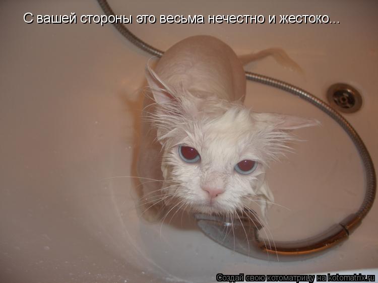 С вашей стороны это весьма нечестно и жестоко...... Котоматрица: С вашей стороны это весьма нечестно и жестоко...